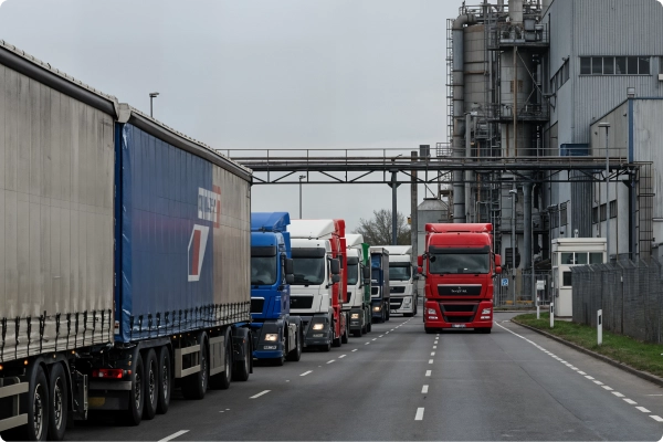 Chaos at the Plant Gate? Stay in Control